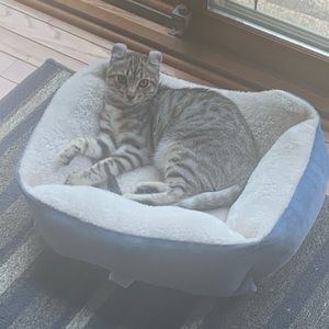 Meet your Posher, Seema